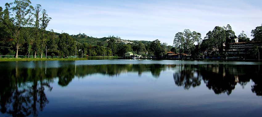kodaikanal forest tour