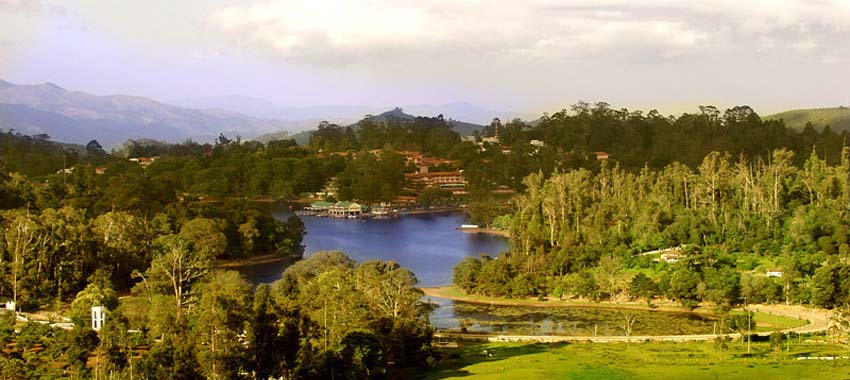 kodaikanal forest tour