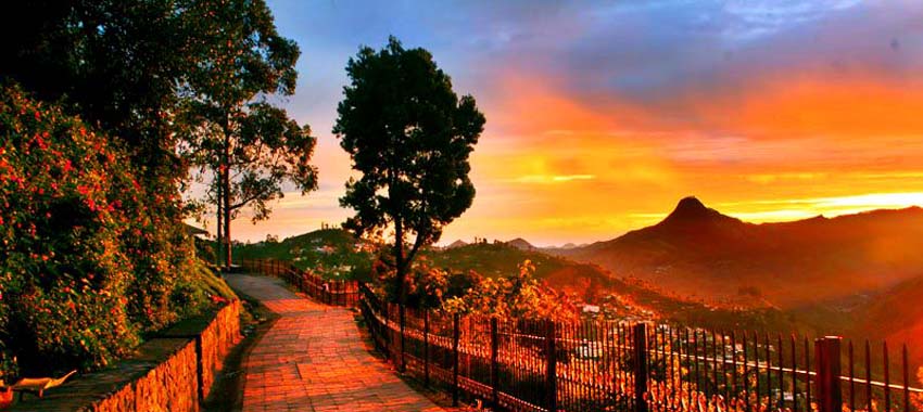 local-tours-cokerswalk
