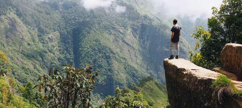 kodaikanal dolphin nose