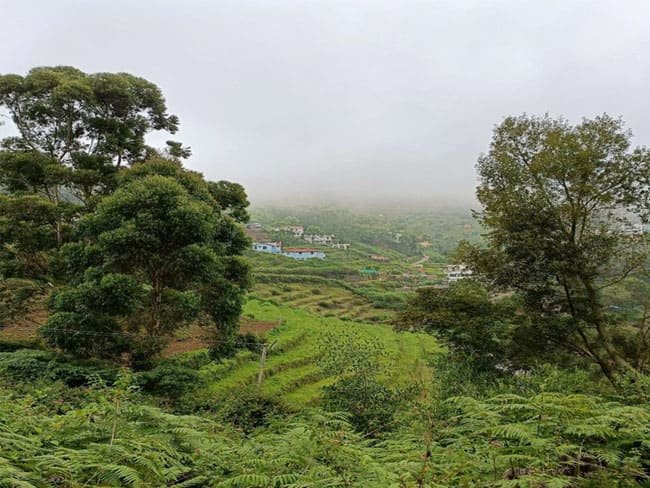 kodaikanal-jeep-safari3