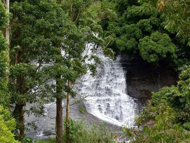 kodaikanal-jeep-safari5